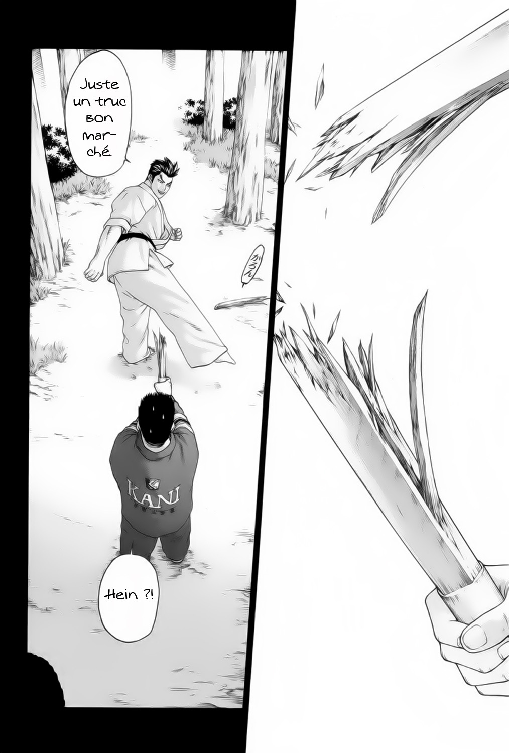 img Karate Shoukoushi Kohinata Minoru 16